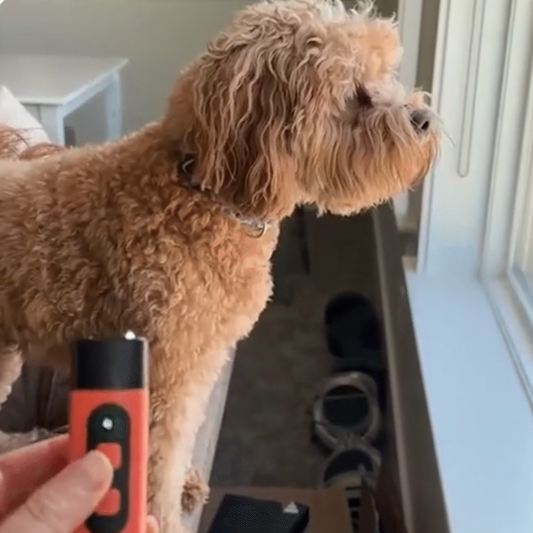 The ZenPup Pro - Bark Deterrent
