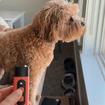 The ZenPup Pro - Bark Deterrent