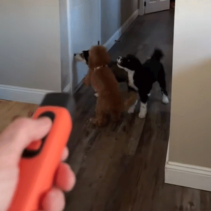 The ZenPup Pro - Bark Deterrent